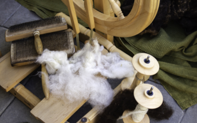Wool Spinning for Beginners, Term 2 2026