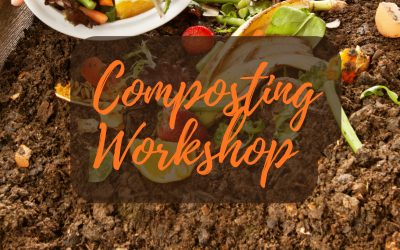Composting Workshop
