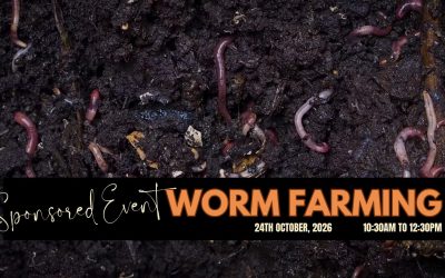 Worm Farming Workshop